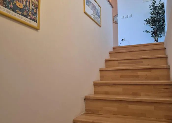 House Bralici スタリー・グラード